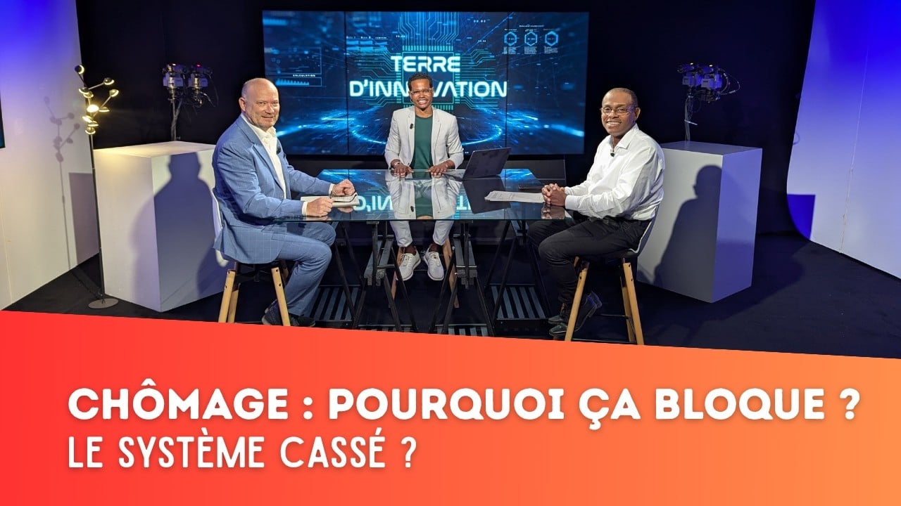 France Travail : Défis et Solutions pour l'Emploi en Martinique