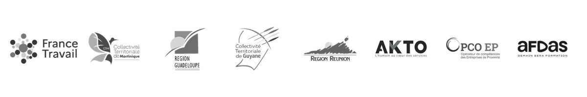 centre-formation-marketing-digital-ia-creation-entreprise-martinique-guadeloupe-guyane-reunion