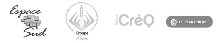 atelier-conference-sensibilisation-ia-generative-antilles-guyane