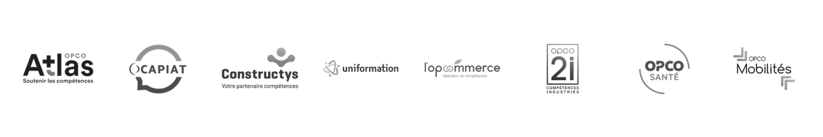 centre-formation-marketing-digital-ia-creation-entreprise-martinique-guadeloupe-guyane-reunion-client