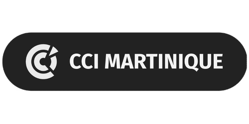 innovation-rh-2026-evenement-ia-comite-direction-martinique-cci-martinique-awitec