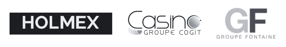 solutions-entreprises-alignement-ia-comex-martinique-guadeloupe-guyane-intelligence-artifcielle